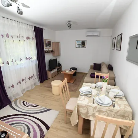 아파트 Neva Apartman, Banja Vrujci