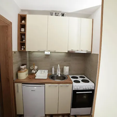 Neva Apartman, Banja Vrujci 아파트 Rakari