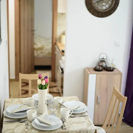 Neva Apartman, Banja Vrujci *