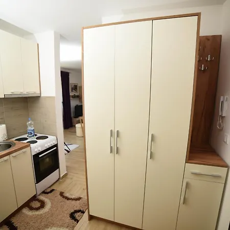 Neva Apartman, Banja Vrujci 아파트 *