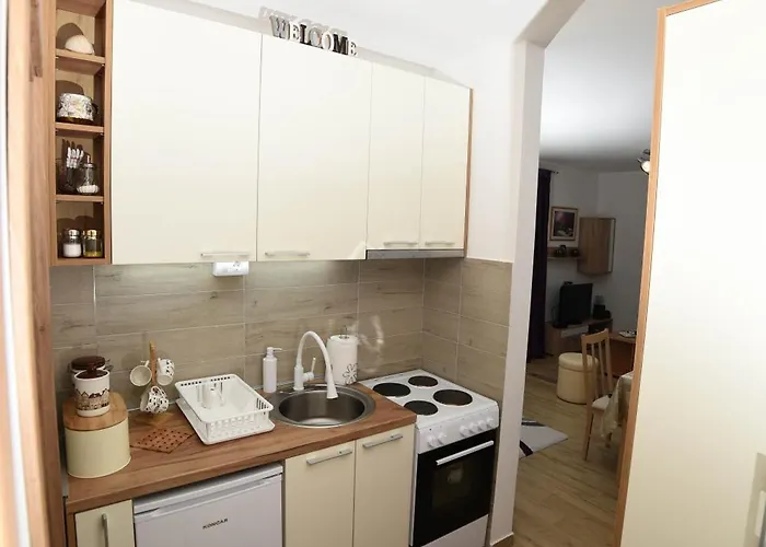 Neva Apartman, Banja Vrujci * Rakari