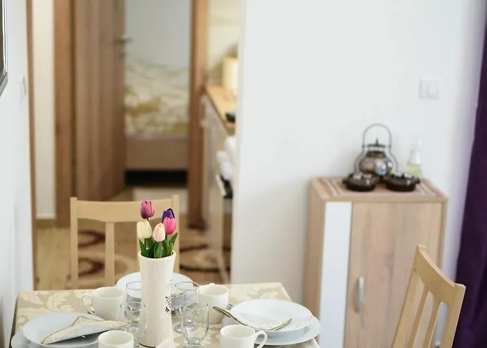 Neva Apartman, Banja Vrujci *