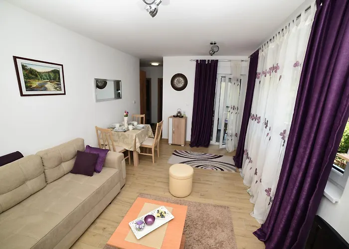 Neva Apartman, Banja Vrujci *